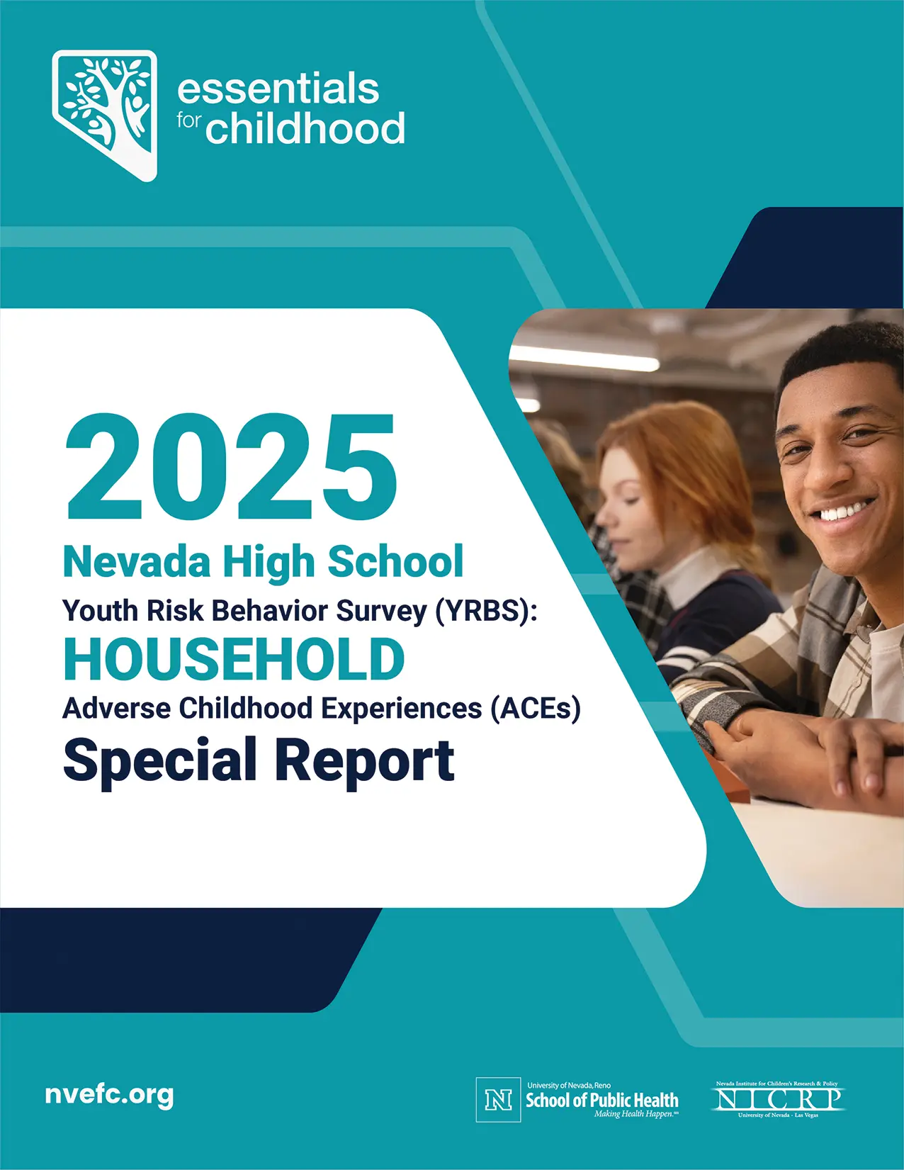 NV High School YRBS Household ACE Report